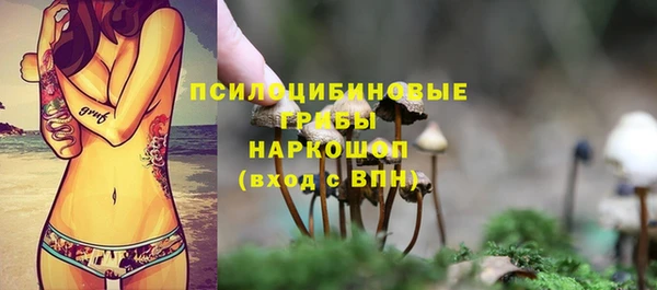 ешки Володарск