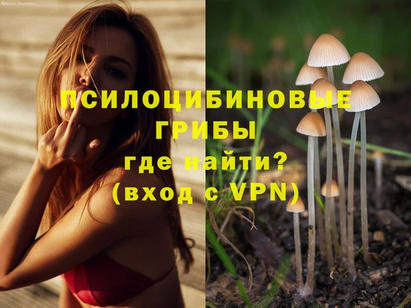 гашиш Волосово